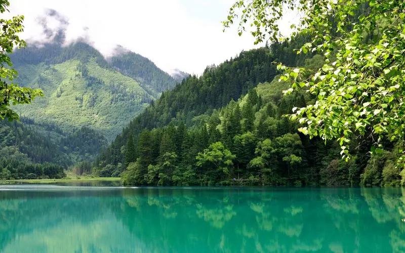 智能自动化稳定性